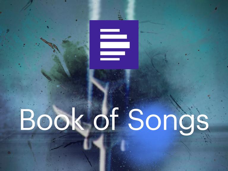 Das Podcast Cover Book of Songs zeigt ein verschwommenes Flugzeug auf blauem Hintergrund mit dem Senderlogo. 