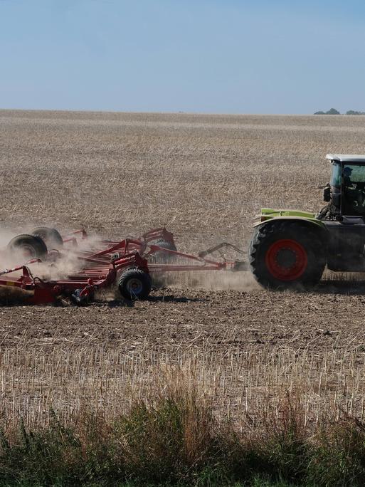 Ein Bauer in der Uckermark fährt mit einer Landmaschine über ausgetrocknete staubige Felder.