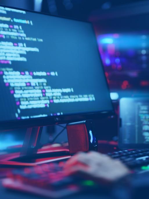 Auf zwei Monitoren sind Programmiercode und technische Oberflächen zu sehen. Eine Person sitzt an der Tastatur, eine weitere Hand zeigt auf den Bildschirm. 