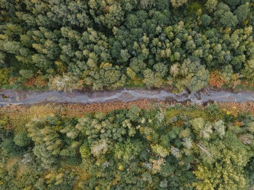 Eine Fotoaufnahme von oben zeigt ein Waldstück, durch den ein Fluss fließt. Der Fluss hat wenig Wasser und wirkt fast ausgetrocknet. Eine Fotoaufnahme von oben zeigt ein Waldstück, durch den ein Fluss fließt. Der Fluss hat wenig Wasser und wirkt fast ausgetrocknet.