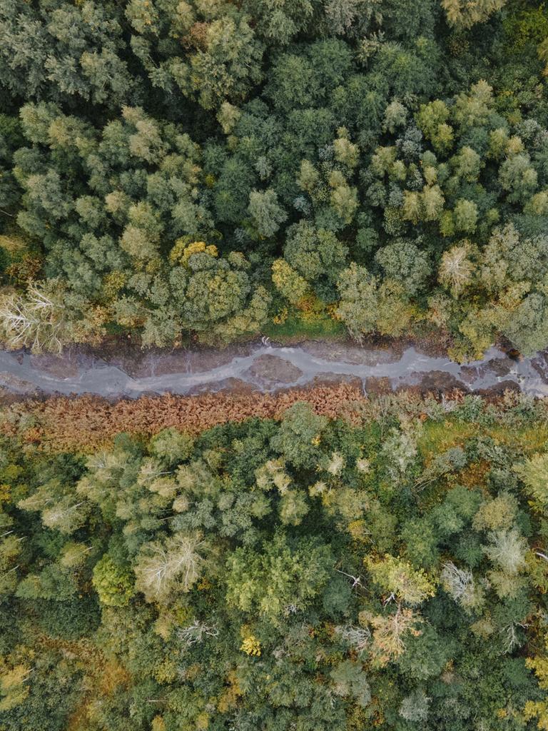 Eine Fotoaufnahme von oben zeigt ein Waldstück, durch den ein Fluss fließt. Der Fluss hat wenig Wasser und wirkt fast ausgetrocknet. Eine Fotoaufnahme von oben zeigt ein Waldstück, durch den ein Fluss fließt. Der Fluss hat wenig Wasser und wirkt fast ausgetrocknet.