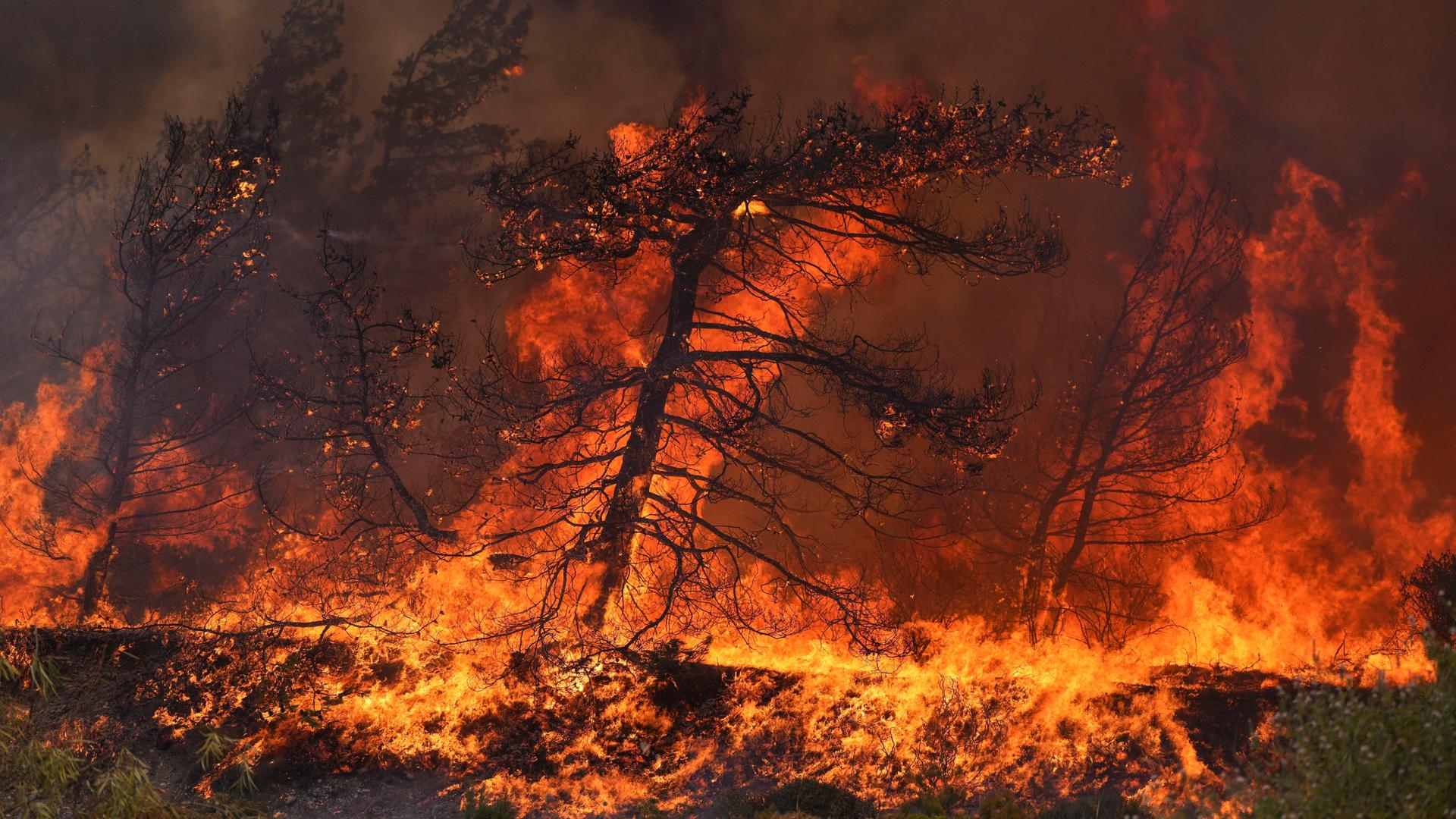 Griechenland, Rhodos: Nahe der Ortschaft Vati im Süden der Insel Rhodos steht ein Wald in Flammen. In Griechenland toben Waldbrände in zahlreichen Regionen.