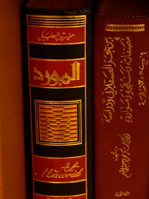Die Arabische Bibliothek Baynatna in Berlin ist ein Treffpunkt für Menschen mit arabischer Sprache. 