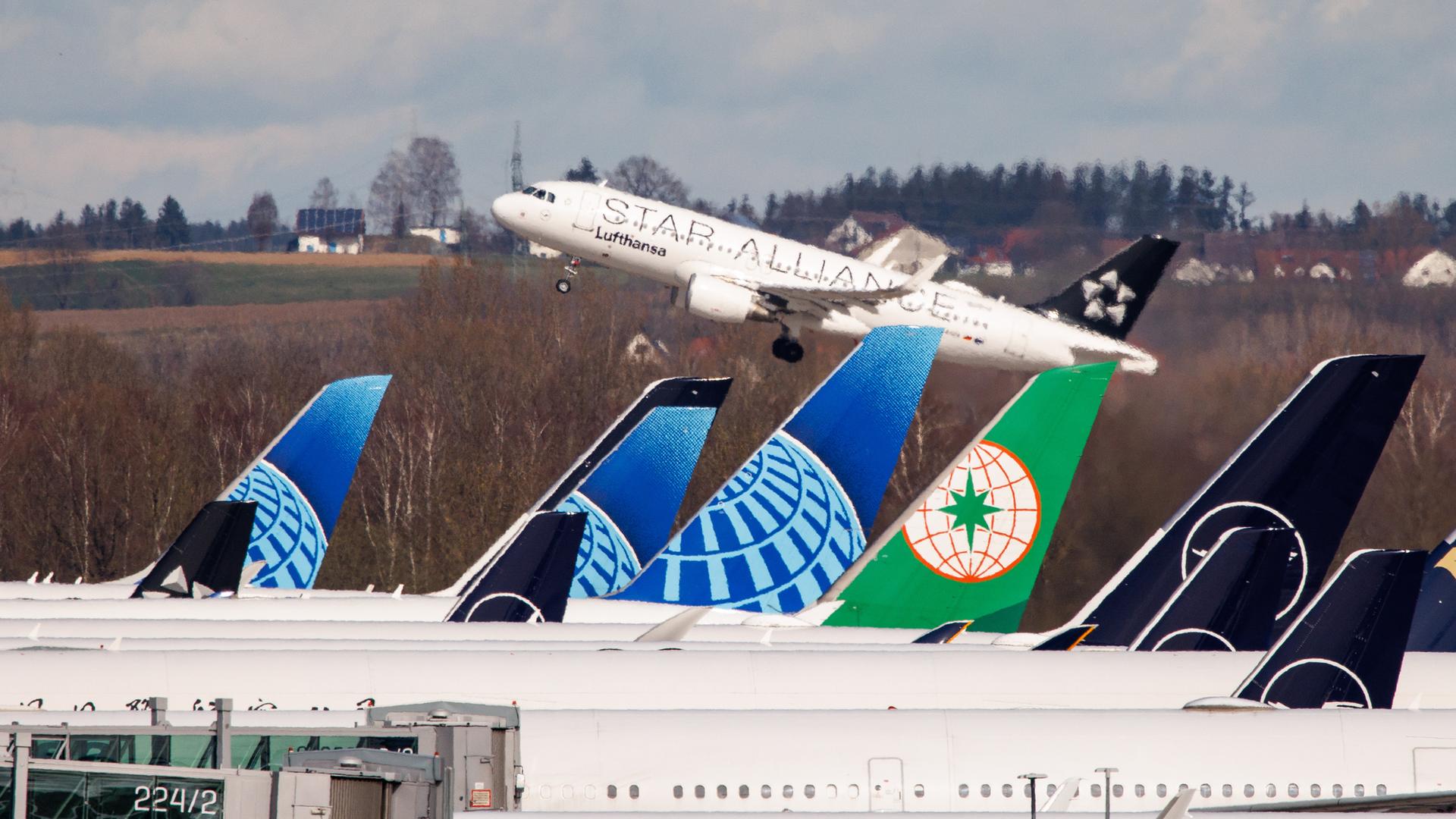 Ein Lufthansa-Airbus startet vom Flughafen in München, während im Vordergrund zahlreiche weitere Maschinen verschiedener Airlines zu sehen sind.