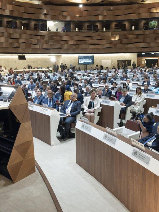 Tedros Adhanom Ghebreyesus (l), Generaldirektor der Weltgesundheitsorganisation (WHO), gibt seine Erklärung während der Eröffnung der 78. Weltgesundheitsversammlung (WHA78) am europäischen Hauptsitz der Vereinten Nationen. 