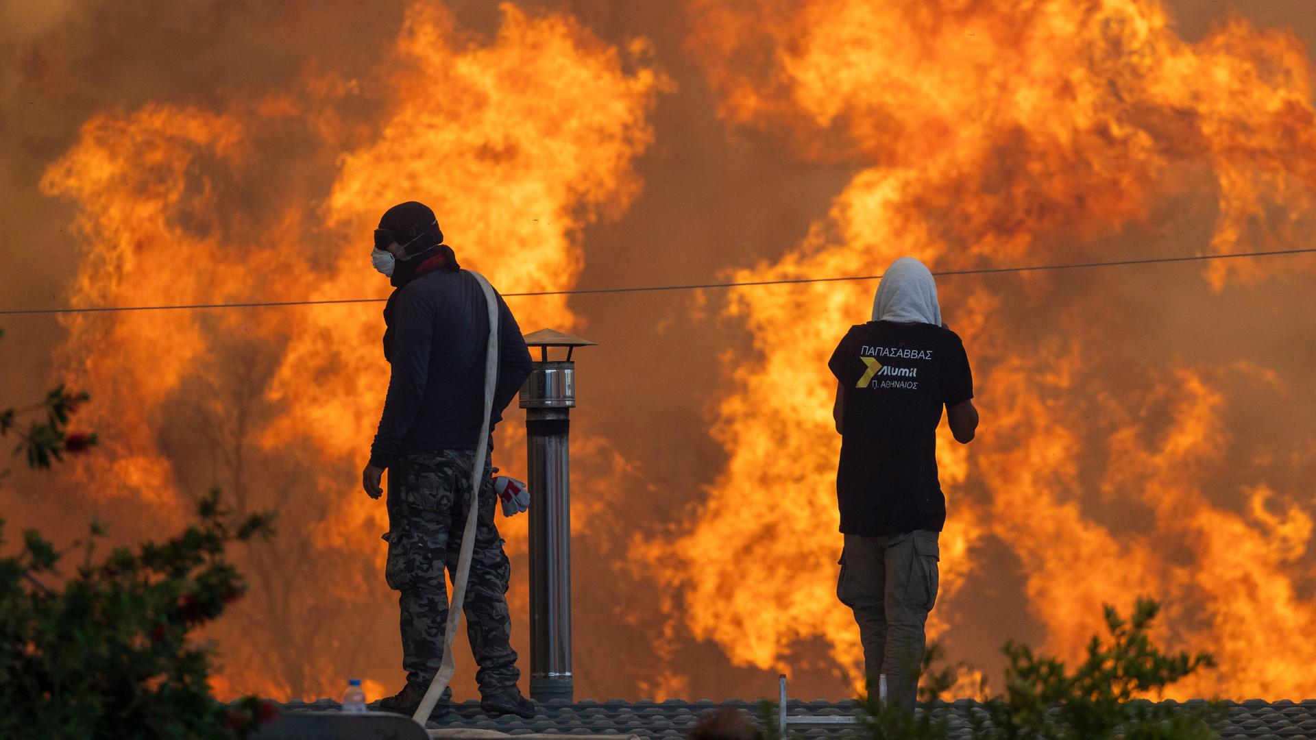 Das Foto zeigt Feuer-Wehr-Leute auf der griechischen Insel Rhodos. Sie versuchen, die Wald-Brände zu löschen.