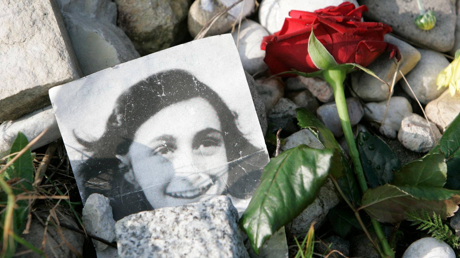 Ein Bild von Anne Frank liegt neben einer roten Rose.