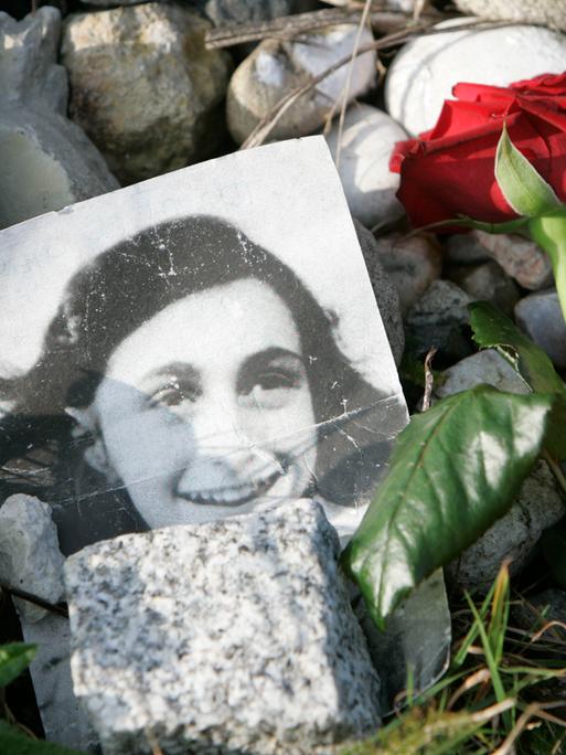 Ein Bild von Anne Frank liegt neben einer roten Rose.