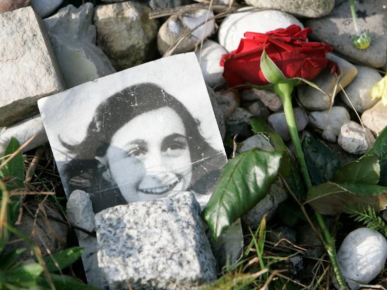 Ein Bild von Anne Frank liegt neben einer roten Rose.