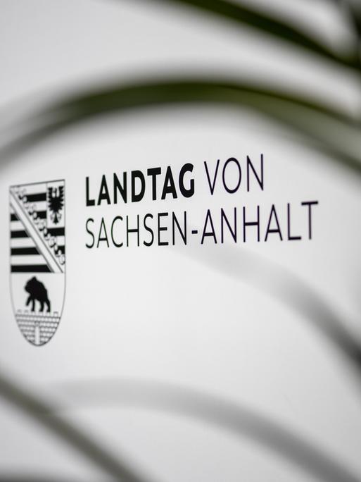 Das Logo des Landtags von Sachsen-Anhalt ist auf einem Schild zu sehen. Unscharfe Blätter im Vordergrund verdecken das Schild teilweise und bilden einen Rahmen um die Aufnahme. (Symbolbild) Das Logo des Landtags von Sachsen-Anhalt ist auf einem Schild zu sehen. Unscharfe Blätter im Vordergrund verdecken das Schild teilweise und bilden einen Rahmen um die Aufnahme. (Symbolbild)