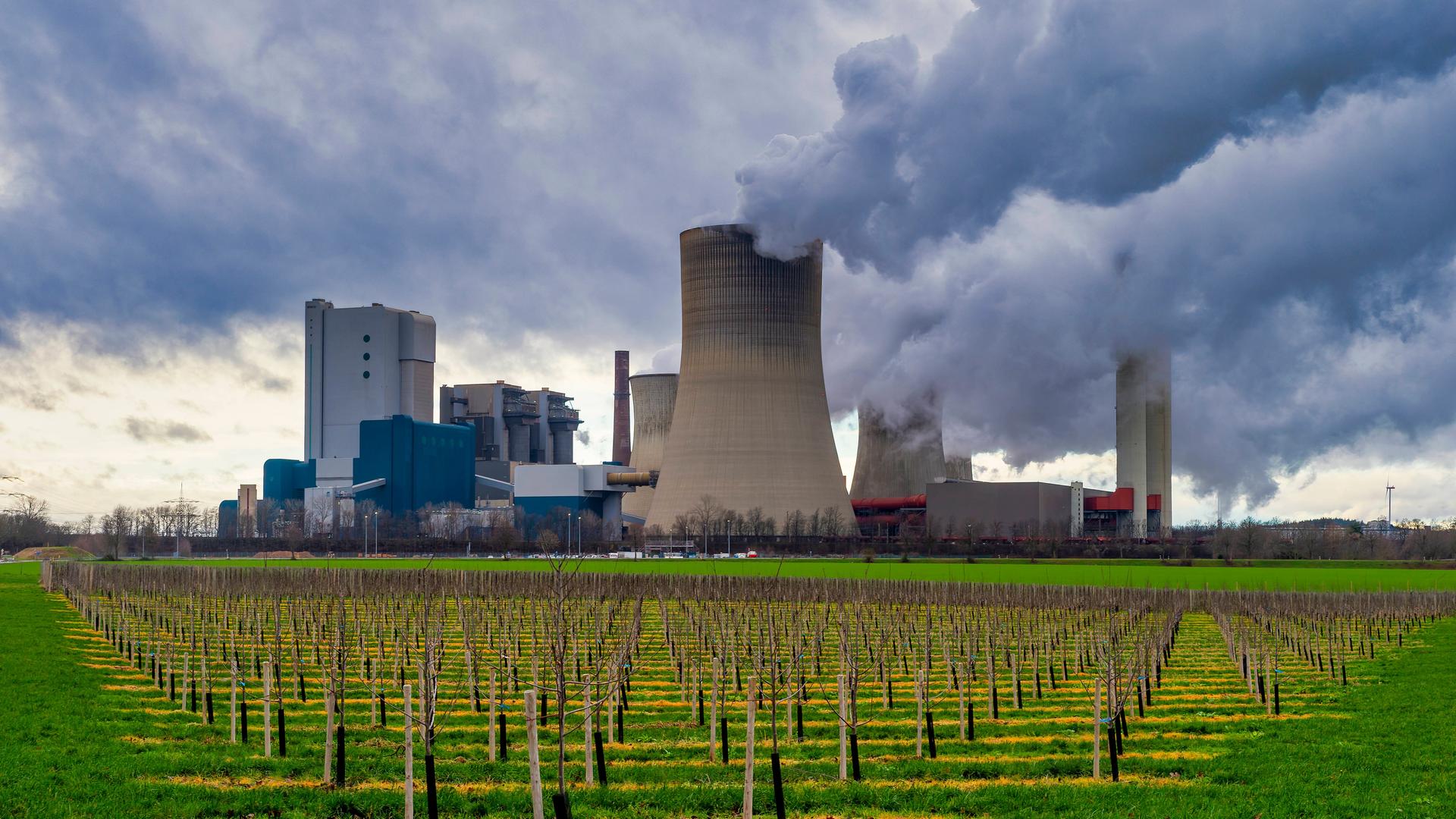 In Grevenbroich, Nordrhein-Westfalen, steht ein Kohlekraftwerk. Davor Wiesen.