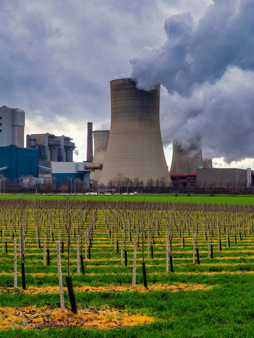 In Grevenbroich, Nordrhein-Westfalen, steht ein Kohlekraftwerk. Davor Wiesen.