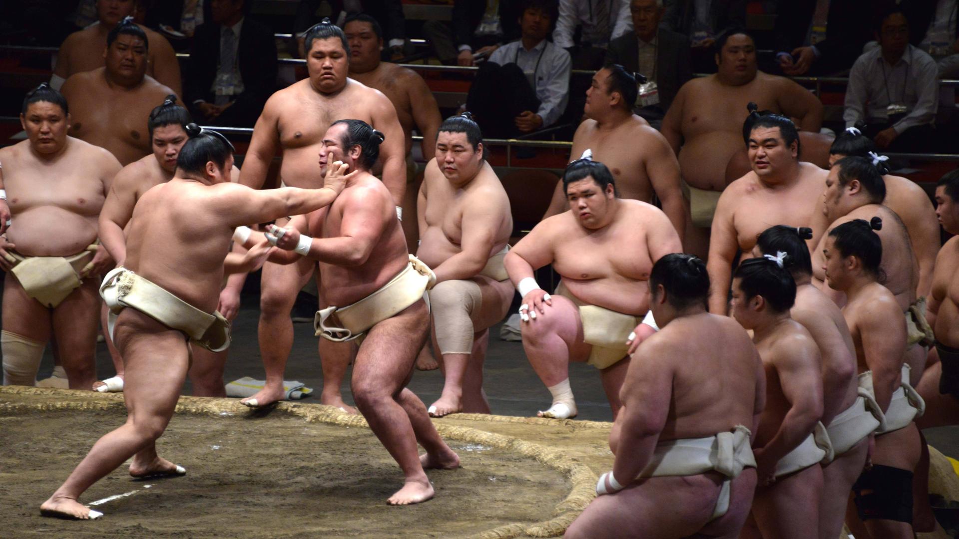 April 29, 2015 - Tokyo, JAPAN - Sumo wrestlers training in Tokyo, April 29, 2015. Sumo is Japan s national and is one of the most popular spectator sports in Japan. Sumo Wrestlers Training In Tokyo PUBLICATIONxINxGERxSUIxAUTxONLY - ZUMAn230April 29 2015 Tokyo Japan Sumo Wrestlers Training in Tokyo April 29 2015 Sumo is Japan s National and is One of The Most popular spectator Sports in Japan Sumo Wrestlers Training in Tokyo PUBLICATIONxINxGERxSUIxAUTxONLY ZUMAn230