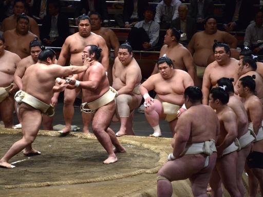 April 29, 2015 - Tokyo, JAPAN - Sumo wrestlers training in Tokyo, April 29, 2015. Sumo is Japan s national and is one of the most popular spectator sports in Japan. Sumo Wrestlers Training In Tokyo PUBLICATIONxINxGERxSUIxAUTxONLY - ZUMAn230April 29 2015 Tokyo Japan Sumo Wrestlers Training in Tokyo April 29 2015 Sumo is Japan s National and is One of The Most popular spectator Sports in Japan Sumo Wrestlers Training in Tokyo PUBLICATIONxINxGERxSUIxAUTxONLY ZUMAn230