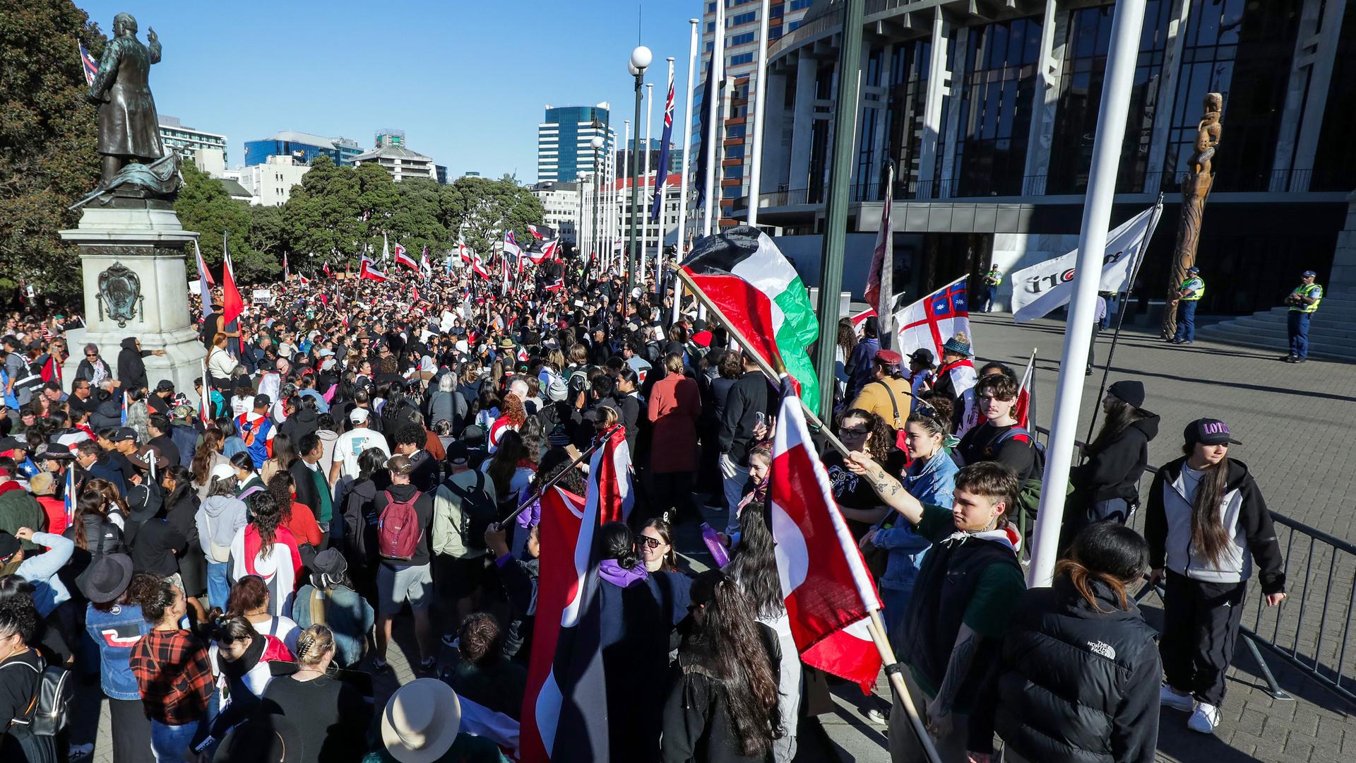 Viele Menschen versammeln sich vor dem Parlament in Wellington. Sie tragen die Maori-Fahne.