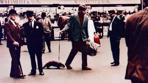 Bill Travers mit Otter in dem Film "Ring Of Bright Water" (1969), der auf Gavin Maxwells gleichnamigem Buch basiert. 