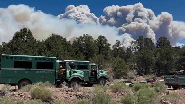 Große Pyrocumulonimbus Wolken steigen in Utah, USA, in der Entfernung über einem Wald auf. Im Vordergrund sind grüne Feuerwehrautos und mehrere Feuerwehrleute zu sehen.