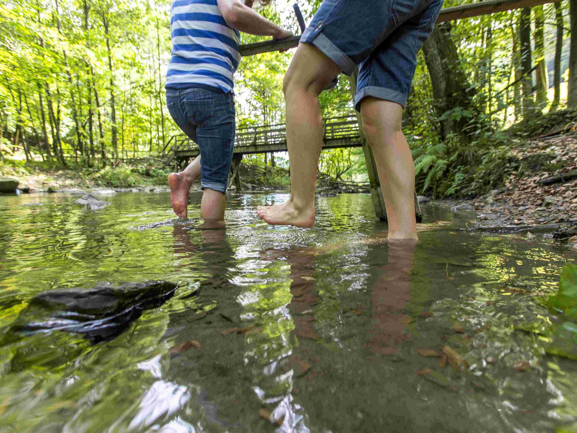 Ein Erwachsener und ein Kind waten barfuß durch einen breiten Bach im Wald. Kneipp Wanderweg bei Olsberg im Sauerland, Kneippkur in der Ruhr.