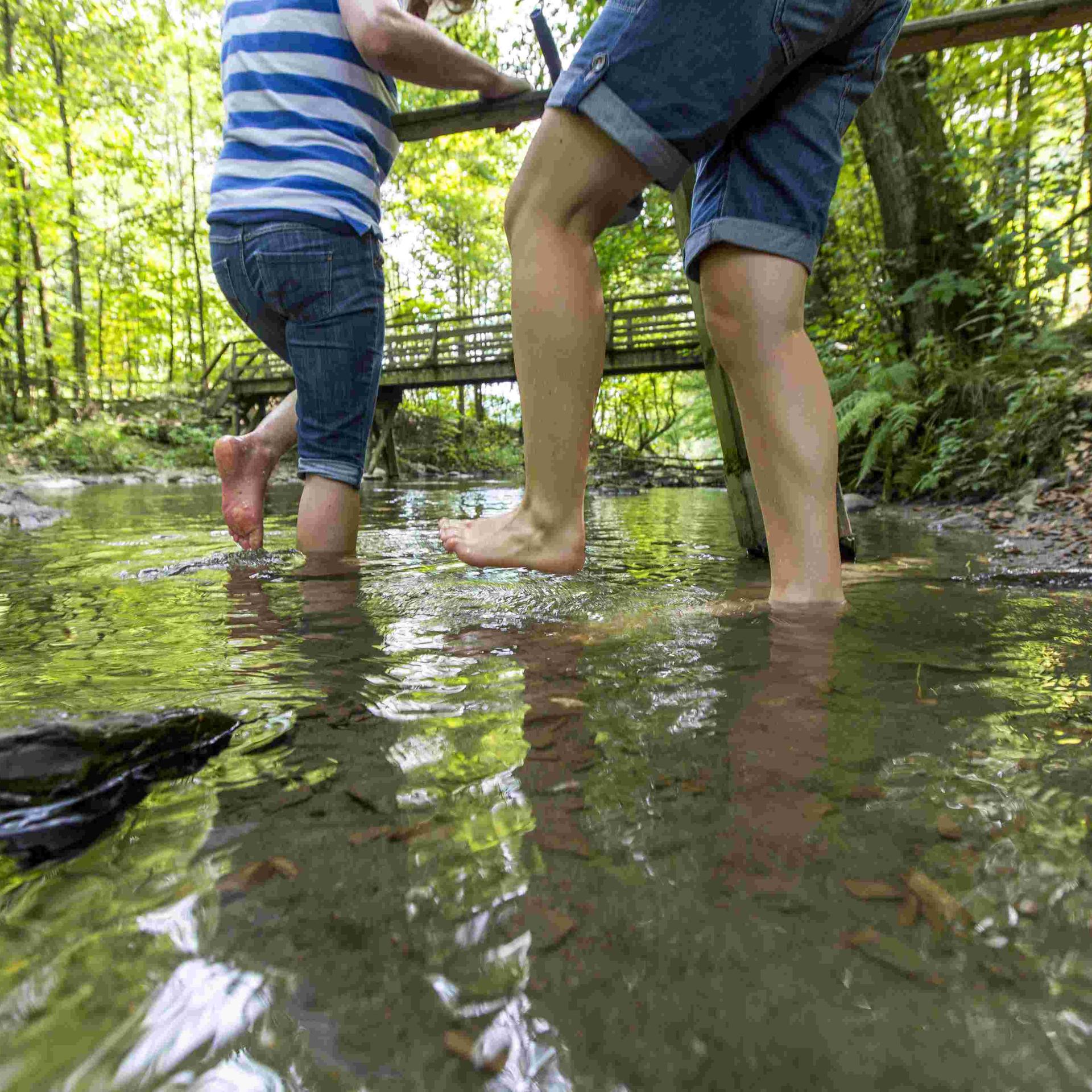 Idylle - Hörspiel: Kollektiver Gedächtnisschwund auf dem Dorf