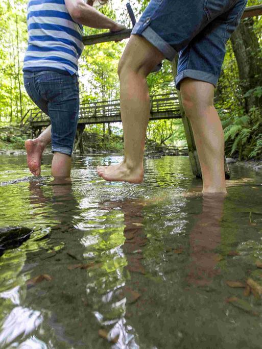 Ein Erwachsener und ein Kind waten barfuß durch einen breiten Bach im Wald. Kneipp Wanderweg bei Olsberg im Sauerland, Kneippkur in der Ruhr.
