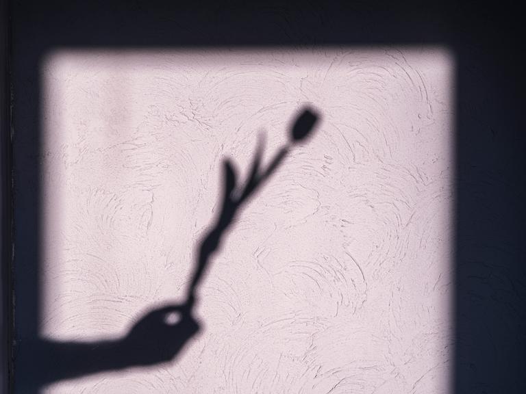 Der Schatten einer zarten Tulpe, die eine Hand hält, hebt sich kunstvoll von einer Wand mit sanfter Struktur ab. Der Schatten einer zarten Tulpe, die eine Hand hält, hebt sich kunstvoll von einer Wand mit sanfter Struktur ab.