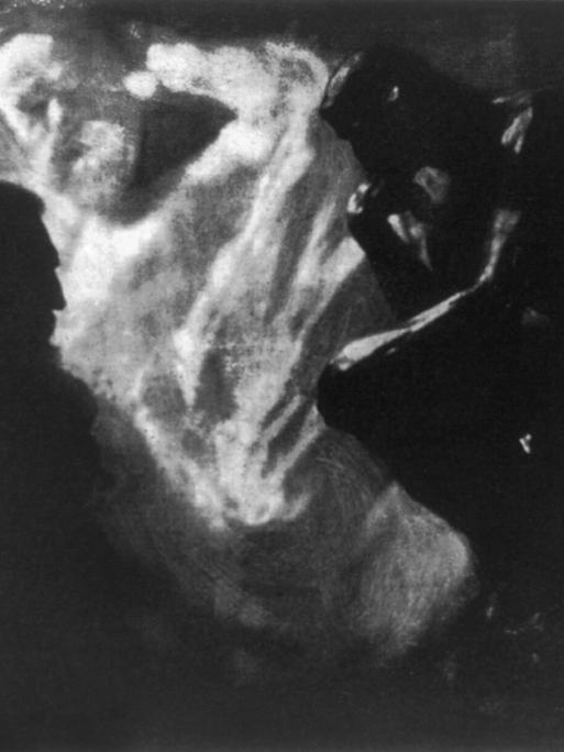 "Rodin - Der Denker" : 1902 fotografierte Edward Steichen den französischen Bildhauer Auguste Rodin in seinem Atelier, vor seiner berühmten Skulptur "Der Denker" mit  Rodins  "Denkmal für Victor Hugo" im Hintergrund.