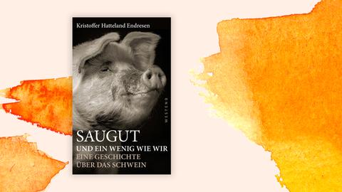 Das Cover des Buchs “Saugut und ein wenig wie wir” von Hatteland Endresen. Ein Schwein im Profil in einer Schwarzweißaufnahme. Außerdem steht der Name des Autors auf dem Cover.