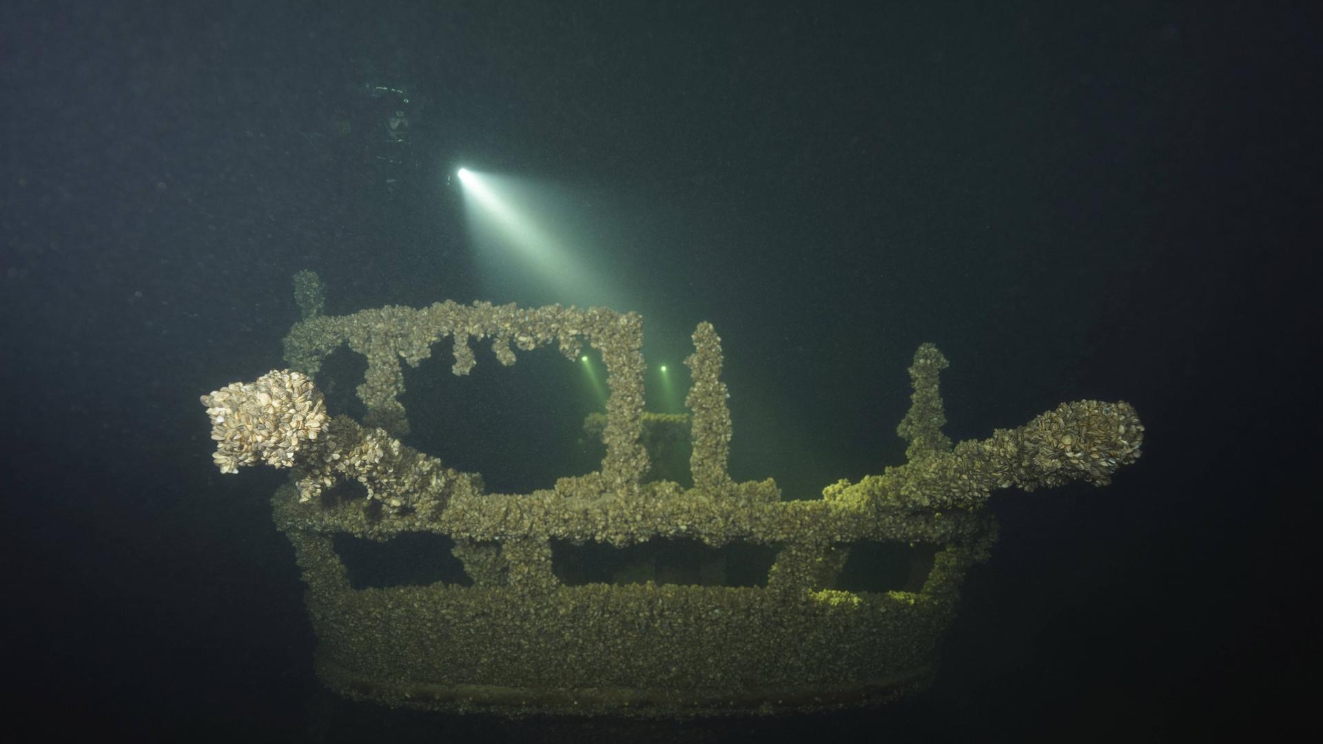 Unterwasseraufnahme eines Schiffswracks, das von Muscheln, Quagga-Dreikantmuschel Dreissena rostriformis bugensis, invasive Art, bedeckt ist, Wrack der Jura im Bodensee