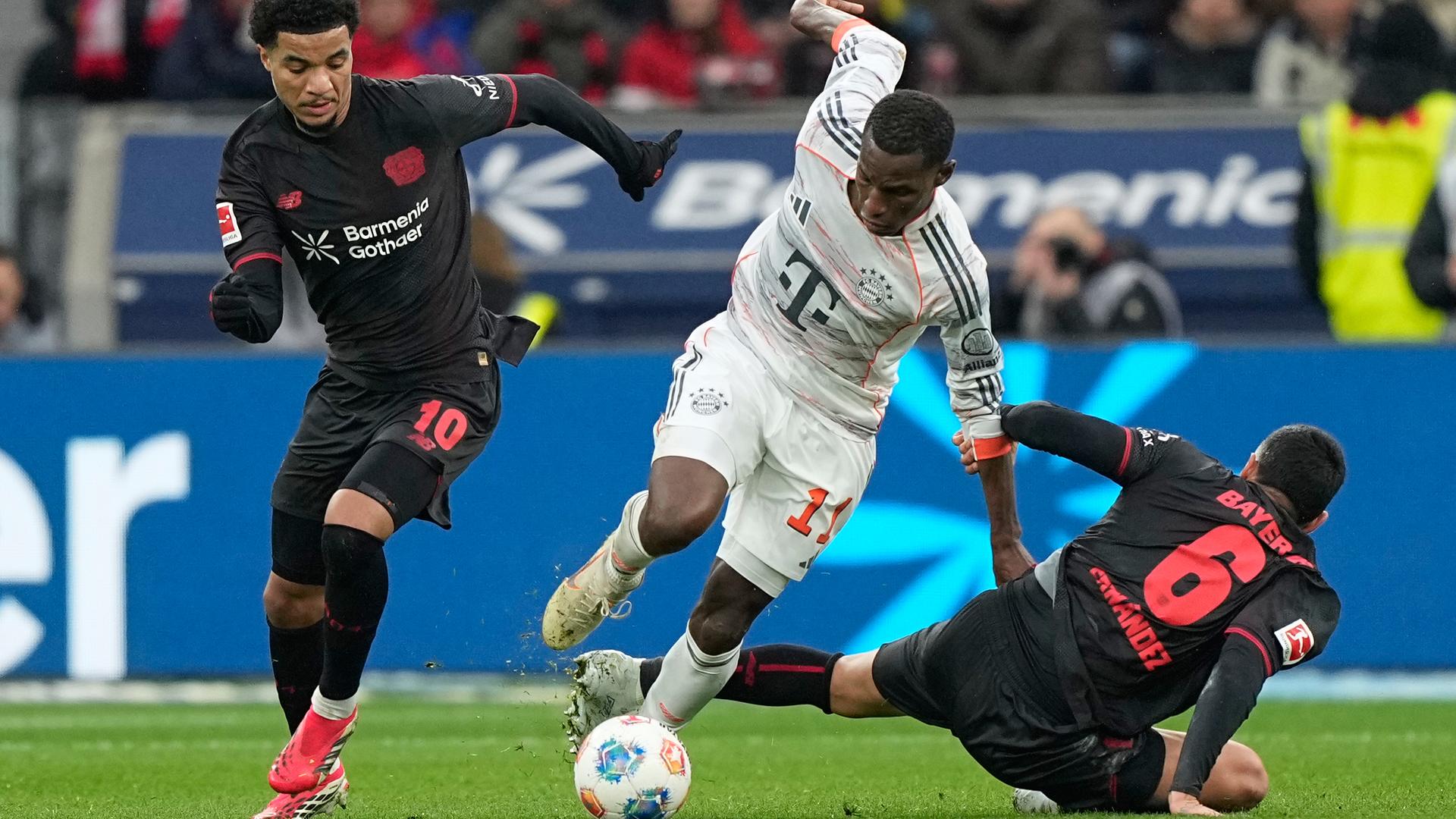 Bayern-Stürmer Nicolas Jackson (mi.) im Zweikampf mit den Leverklusenern Malik Tillman (l) und Equi Fernandez.