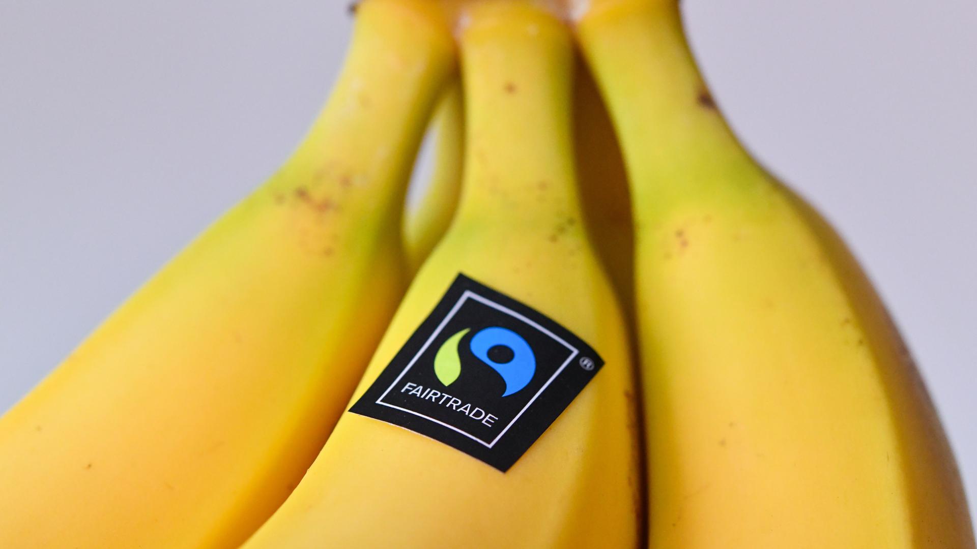 Bananen mit einem Fairtrade-Aufkleber liegen auf einem Tisch