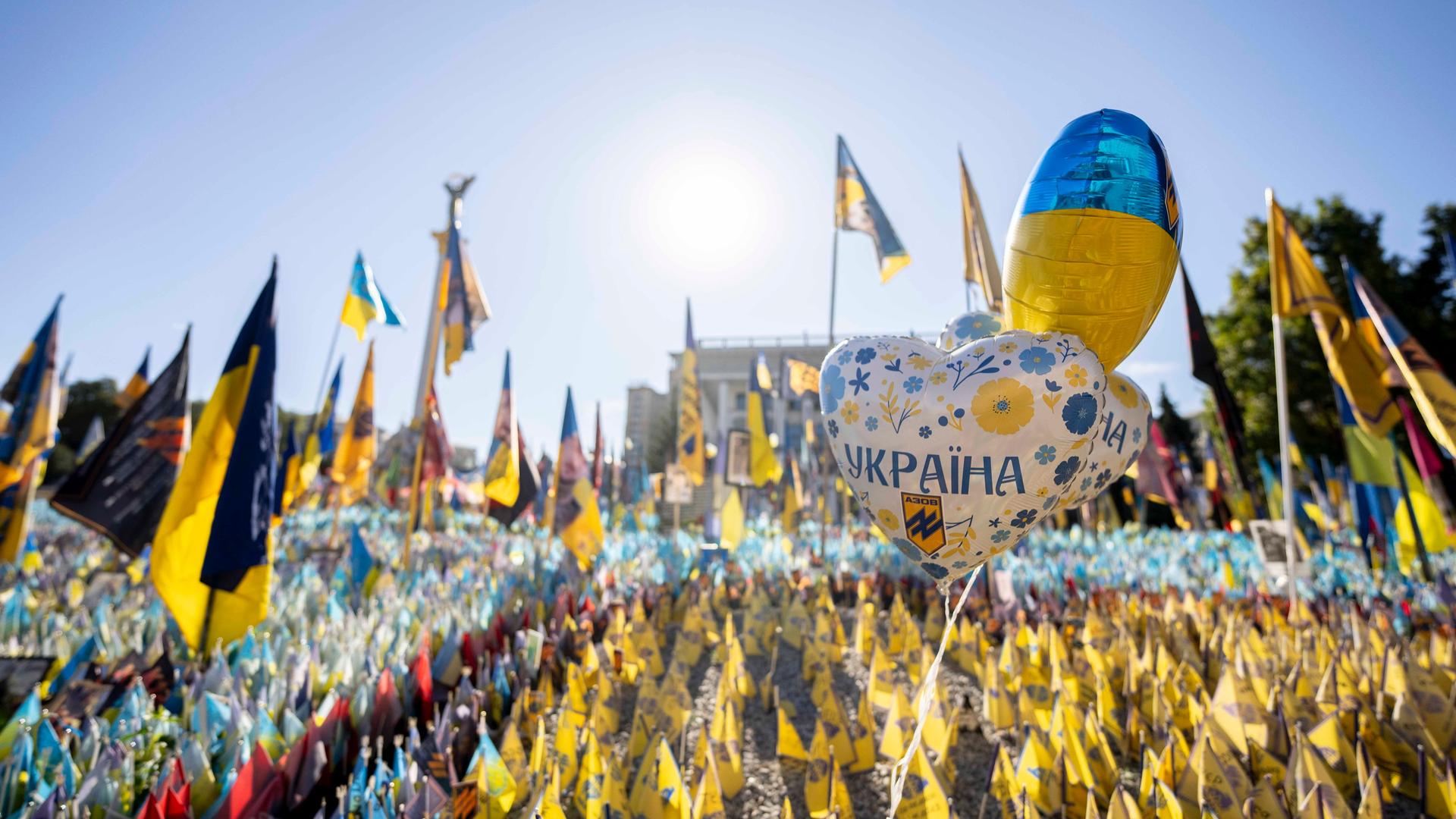Am ukrainischen Unabhängigkeitstag wehen ukrainische Flaggen für gefallene Soldaten und zivile Opfer der russischen Invasion auf dem Unabhängigkeitsplatz.