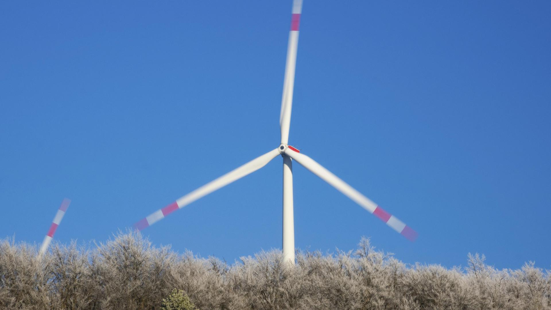 Eine Windkraftanlage ragt aus einem mit Raureif bedeckten Wald.