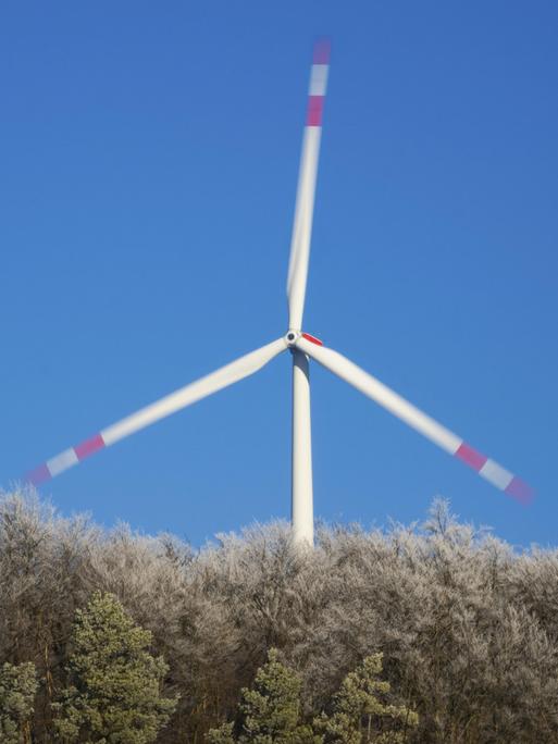 Eine Windkraftanlage ragt aus einem mit Raureif bedeckten Wald.