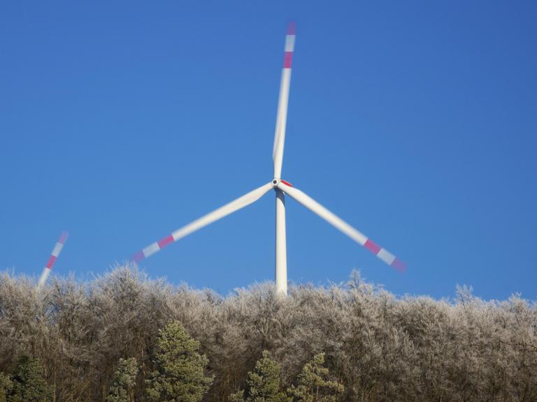 Eine Windkraftanlage ragt aus einem mit Raureif bedeckten Wald.