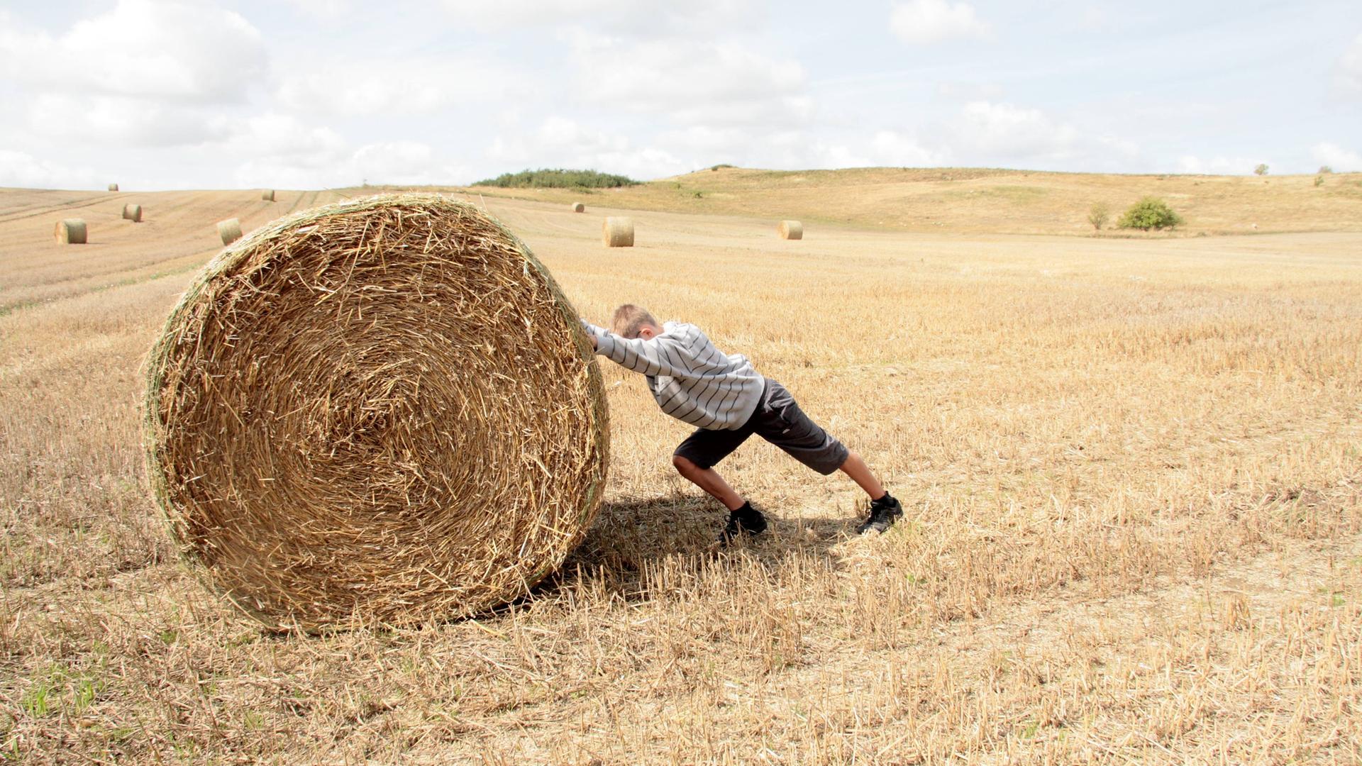 Ein Junge rollt auf einem Acker einen Heuballen