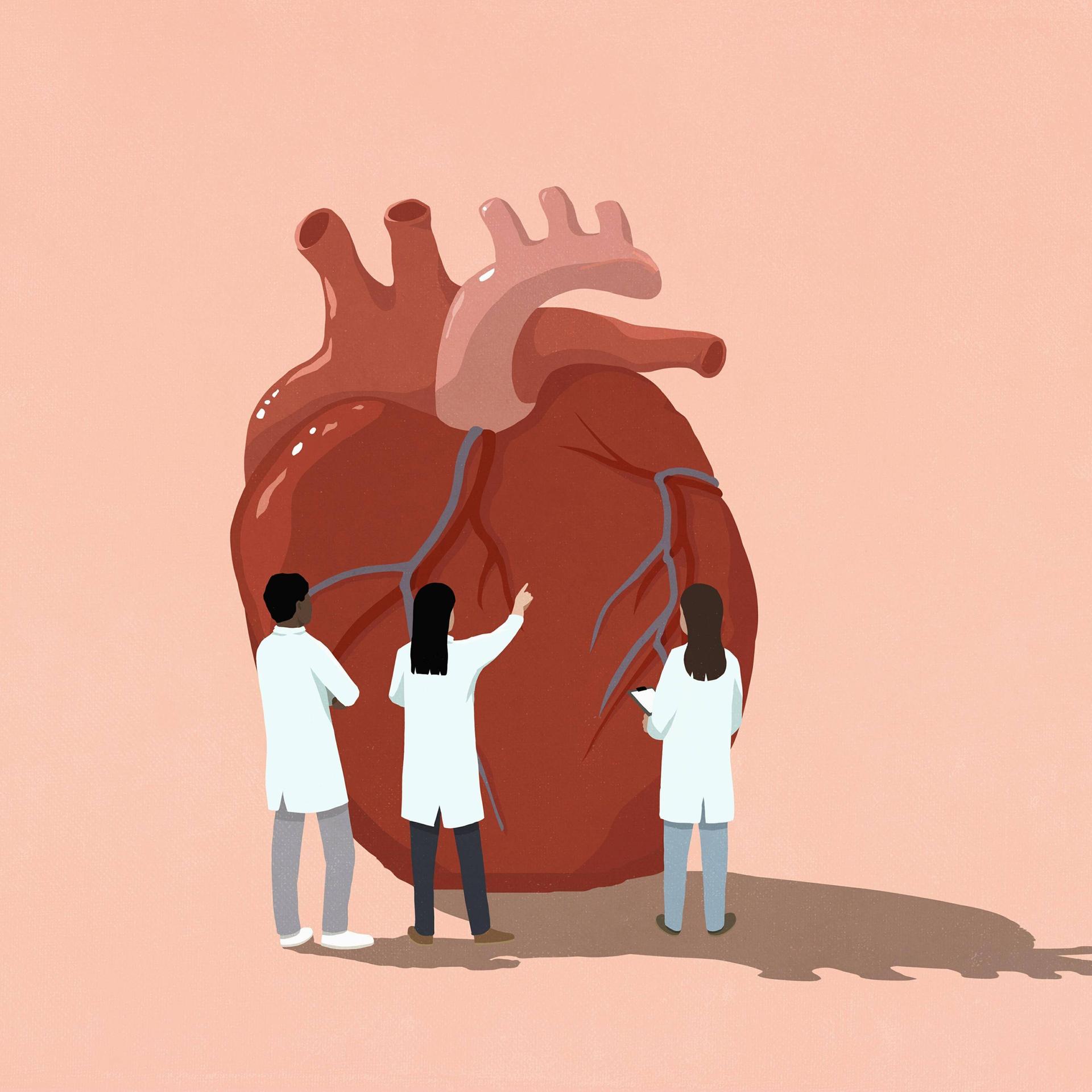 Medizin - Geschlechterspezifische Behandlung würde nicht nur Frauen nützen