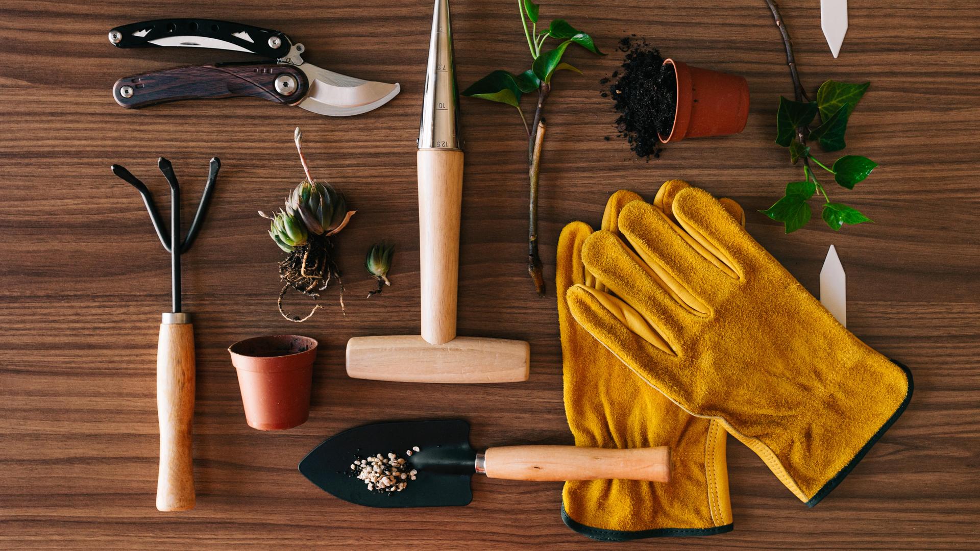 Ein Flatlay mit verschiedenen Gartenwerkzeugen liegt auf einem Holztisch. Ein Flatlay mit verschiedenen Gartenwerkzeugen liegt auf einem Holztisch.