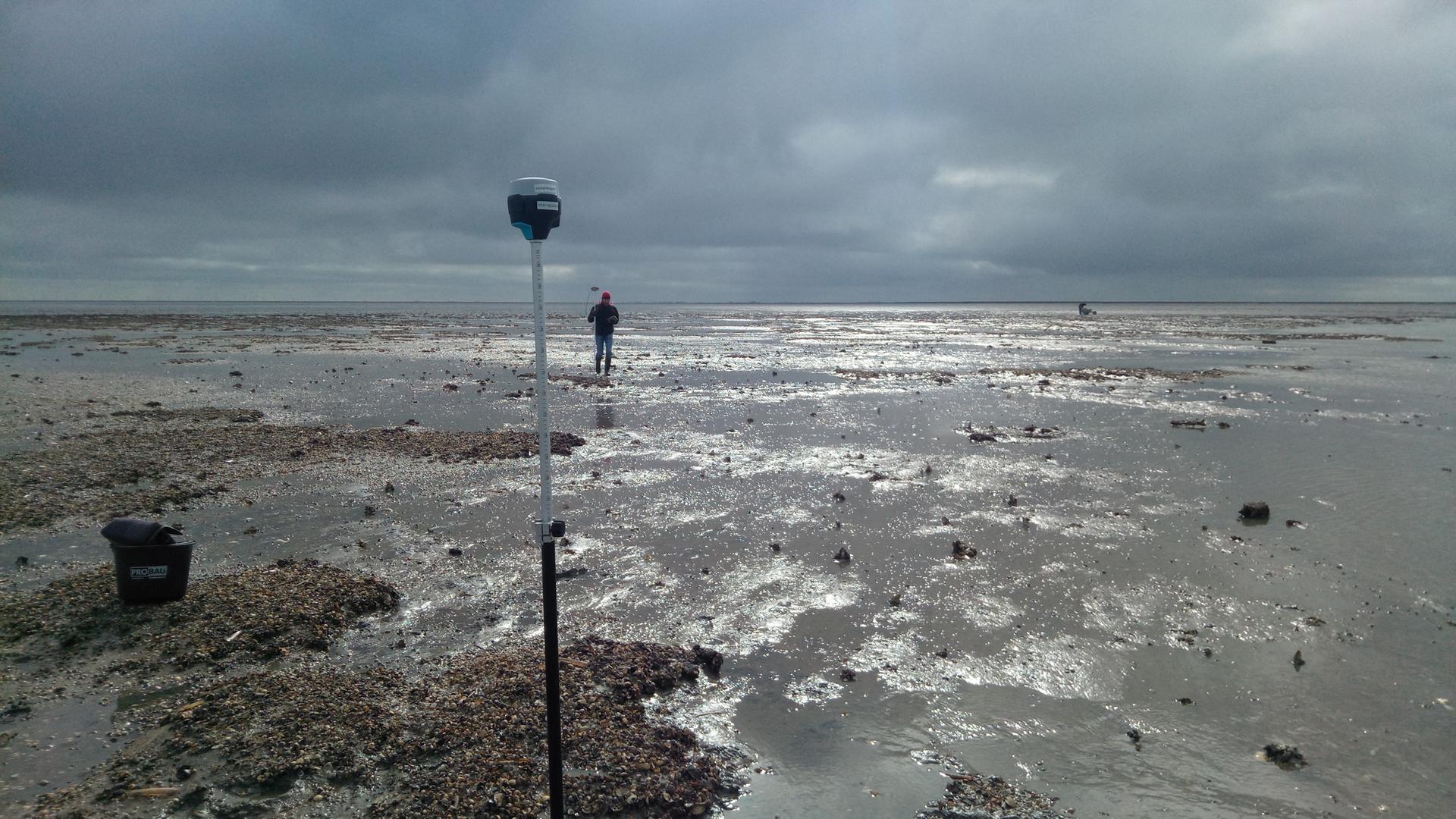 Ein Teleskopstab mit Magnetfeld-Messkopf steckt im Wattenmeer, dahinter ein Mann mit einem weiteren Stab