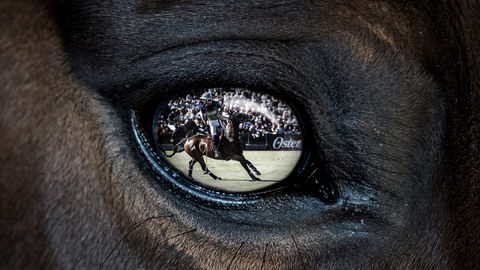 In der Nahaufnahme eines Pferdeauges spiegelt sich das Bild des Polospielers Adolfo Cambiaso. Er sitzt auf einem Pferd und hält einen Poloschläger in der Hand.