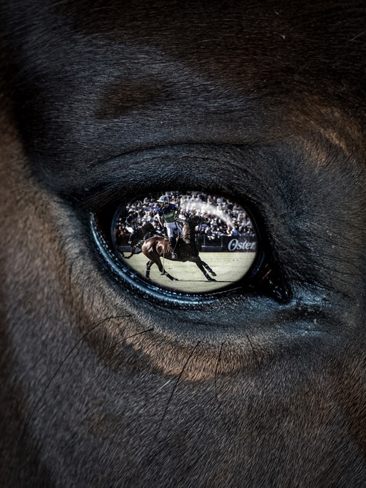In der Nahaufnahme eines Pferdeauges spiegelt sich das Bild des Polospielers Adolfo Cambiaso. Er sitzt auf einem Pferd und hält einen Poloschläger in der Hand. In der Nahaufnahme eines Pferdeauges spiegelt sich das Bild des Polospielers Adolfo Cambiaso. Er sitzt auf einem Pferd und hält einen Poloschläger in der Hand.