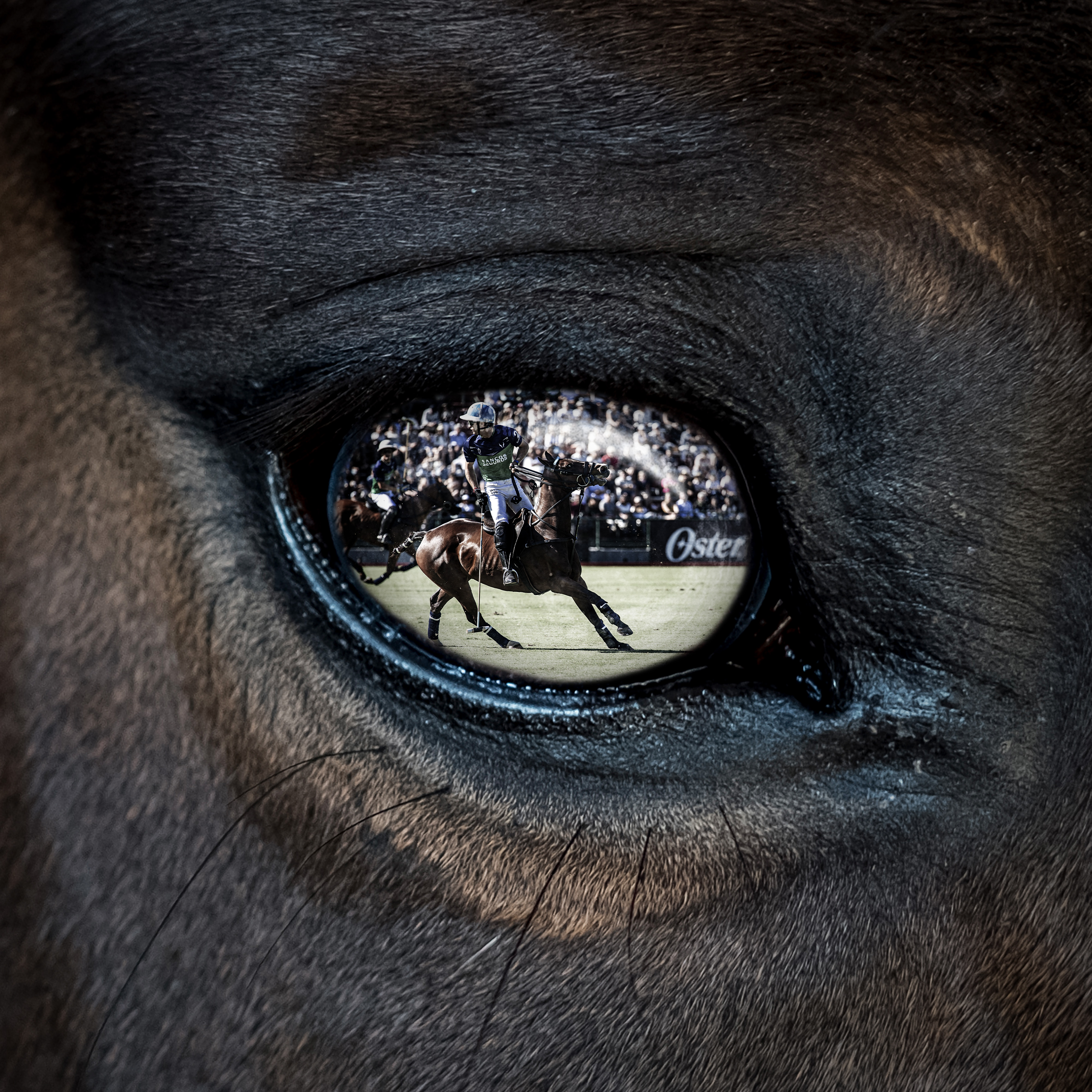 In der Nahaufnahme eines Pferdeauges spiegelt sich das Bild des Polospielers Adolfo Cambiaso. Er sitzt auf einem Pferd und hält einen Poloschläger in der Hand.