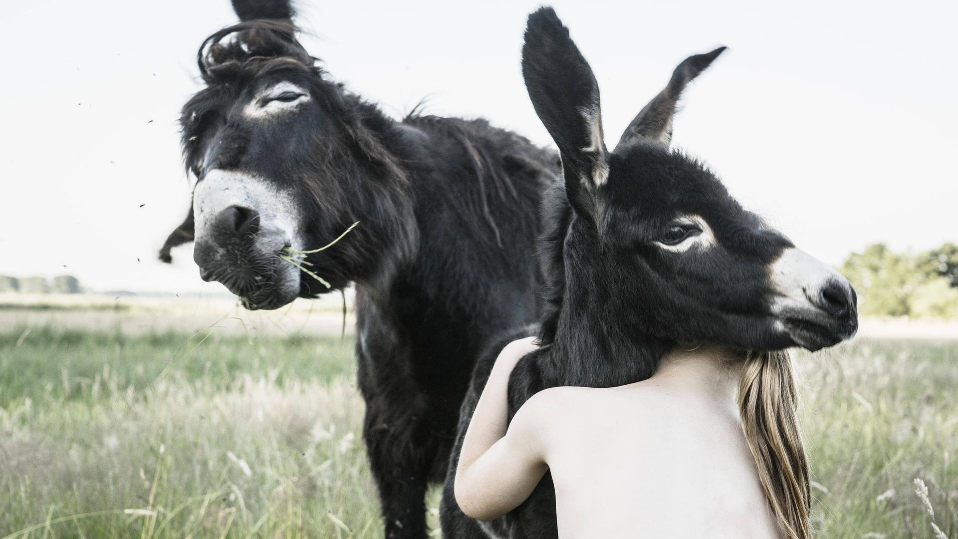 Ein Mädchen umarmt einen Esel, der nackte Oberkörper ist von hinten zu sehen, der Kopf versteckt sich hinter dem Esel.
