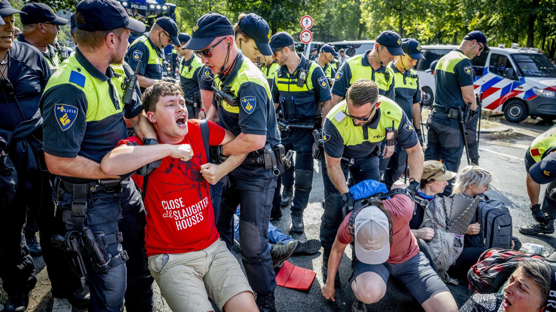 Die Polizei geht gegen Klimaaktivisten vor, die am zweiten Tag in Folge auf der A12 gegen die Gewährung fossiler Subventionen durch die Regierung demonstrieren.