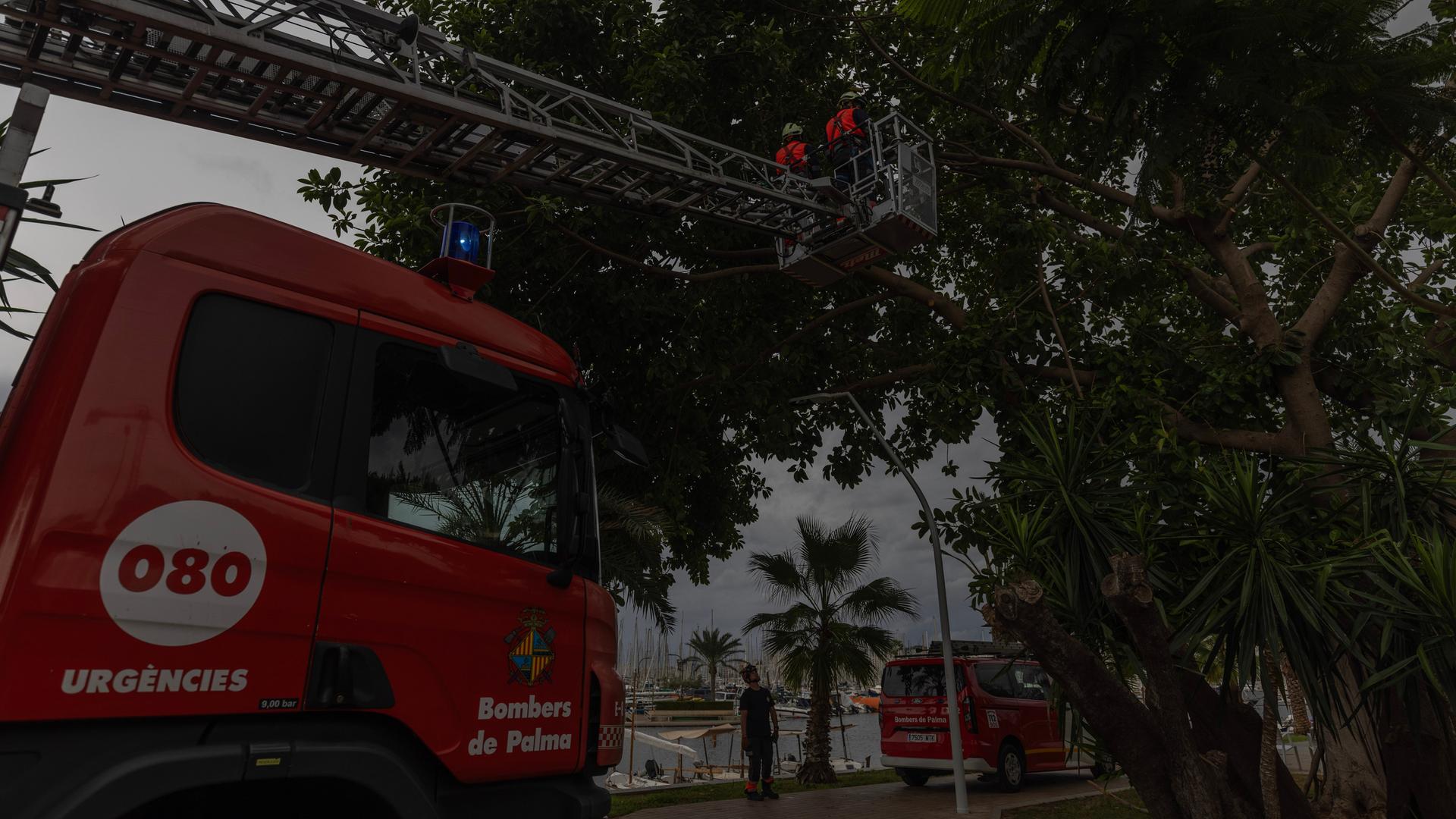 Feuerwehrleute schneiden Äste an der Strandpromenade von Palma zurück. Der Sturm „Adam“ zieht gerade über die Insel hinweg, und für die Bevölkerung wurde eine rote Warnstufe ausgerufen.