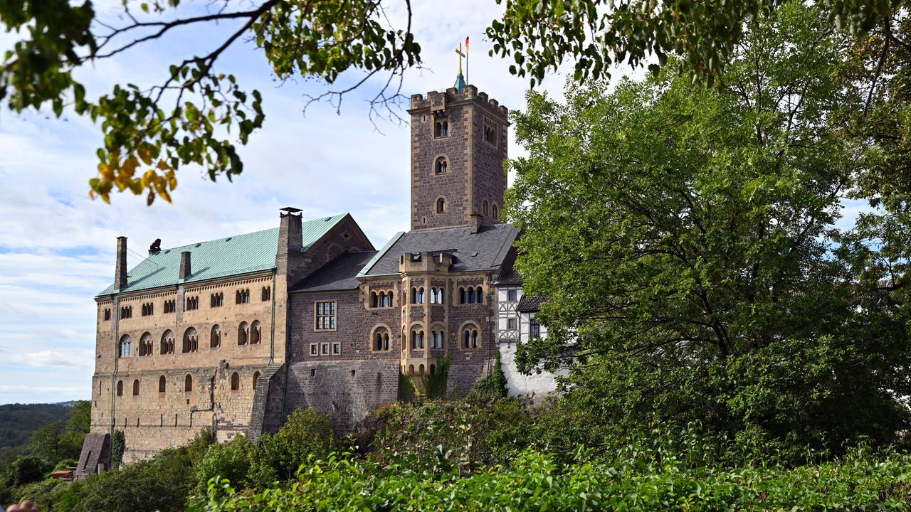 Sommerlicher Blick durch Baumkronen hinüber zur Wartburg.