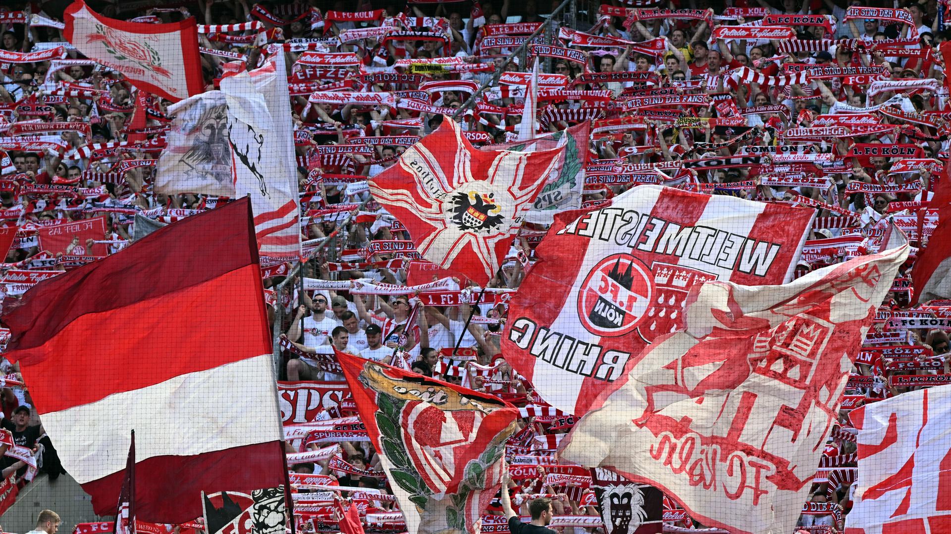 Die Kölner Fankurve im Stadion mit Fahnen, Schals und rot-weißen Trikots