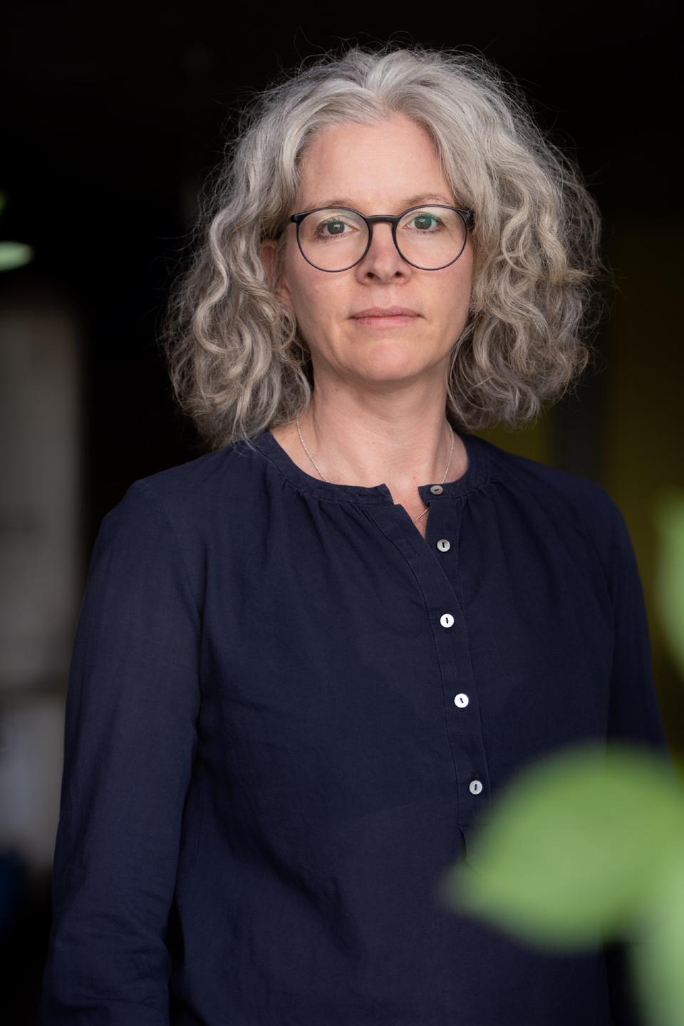 Portrait einer Frau mit halblangem, gewellten Haar und Brille. Es ist die Bild- und Medienwissenschaftlerin Birgit Schneider.