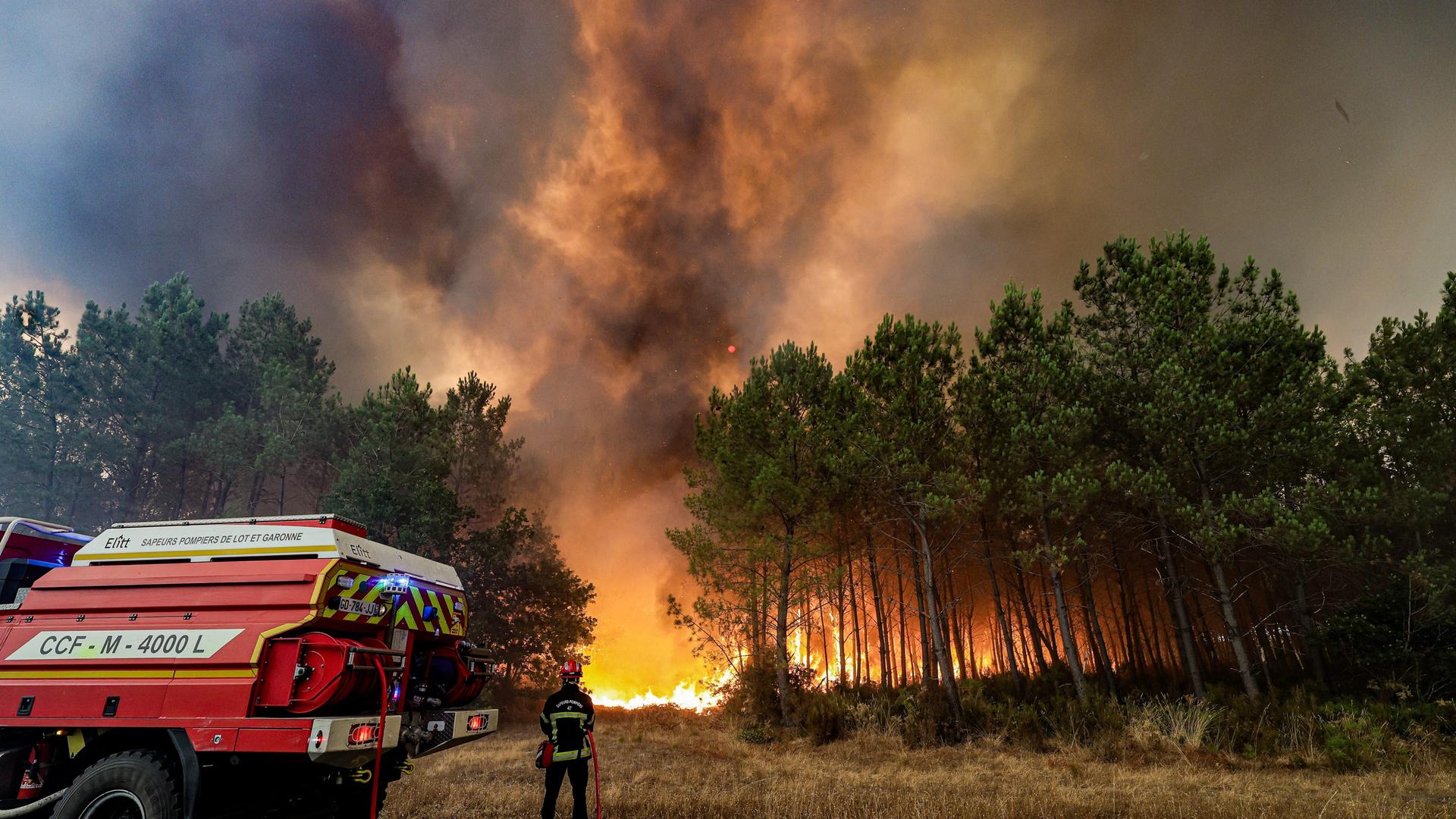 Im Vordergrund ein Feuerwehrwagen, dahinter lodern Flammen mit dunklem, dichten Rauch im Wald. Im Vordergrund ein Feuerwehrwagen, dahinter lodern Flammen mit dunklem, dichten Rauch im Wald.