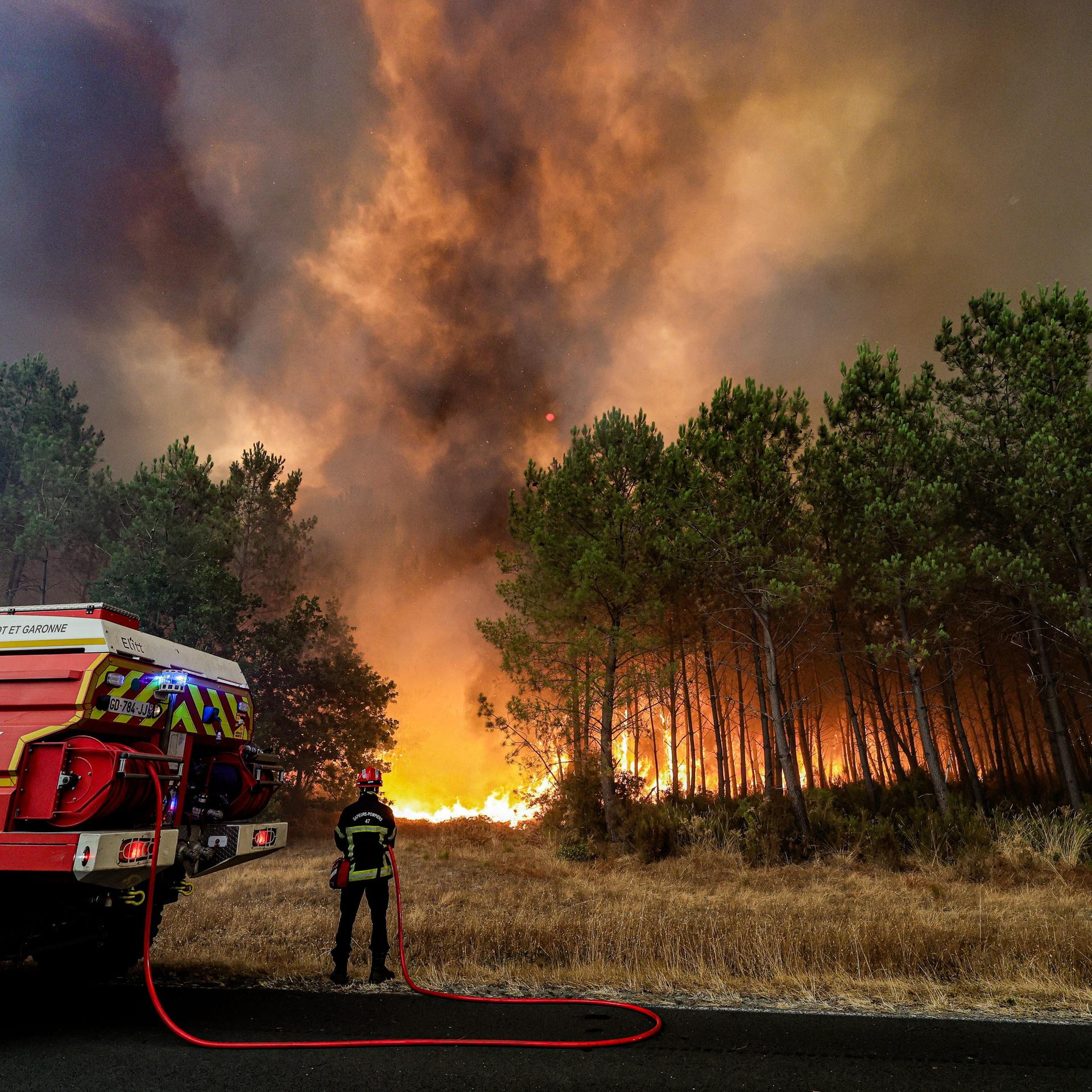 Im Vordergrund ein Feuerwehrwagen, dahinter lodern Flammen mit dunklem, dichten Rauch im Wald.