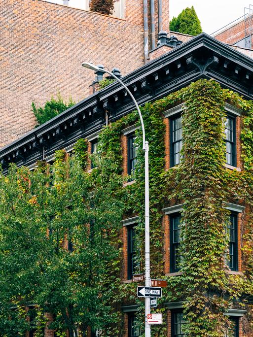 Ein mit Efeu bewachsenes Backsteingebäude in New York